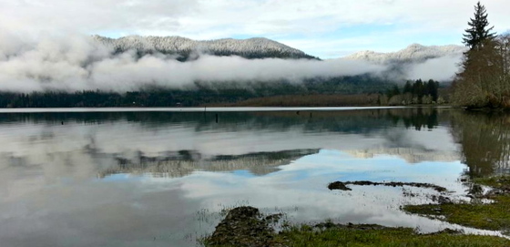 Olymic National Park