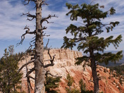 Bryce Canyon National Park