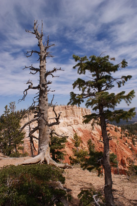 Bryce Canyon National Park