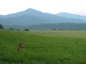 Great Smoky Mountain National Park