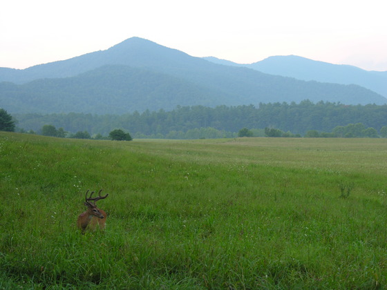 Great Smoky Mountain National Park