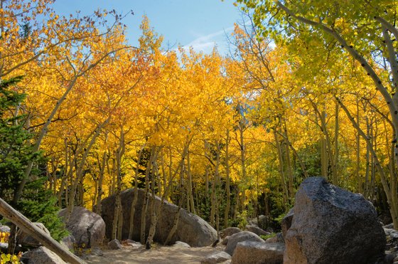 Rocky Mountain National Park