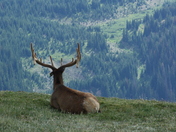Rocky Mountain National Park