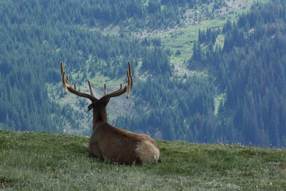 Rocky Mountain National Park