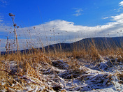 Canaan Valley  National Wildlife Refuge