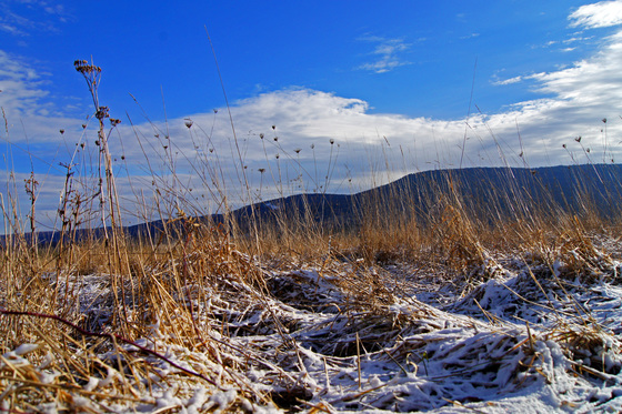 Canaan Valley  National Wildlife Refuge