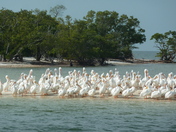 Everglades National Park