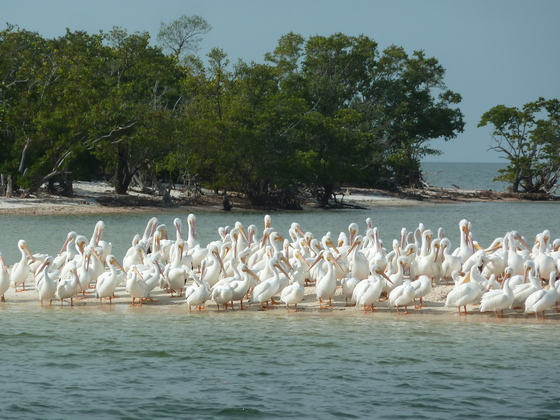 Everglades National Park