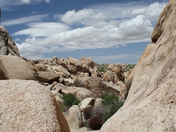 Joshua Tree National Park
