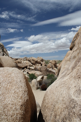 Joshua Tree National Park