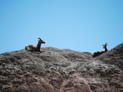 Badlands National Park