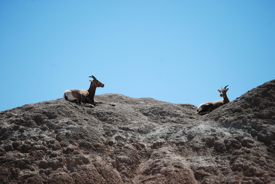 Badlands National Park