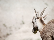 Badlands National Park