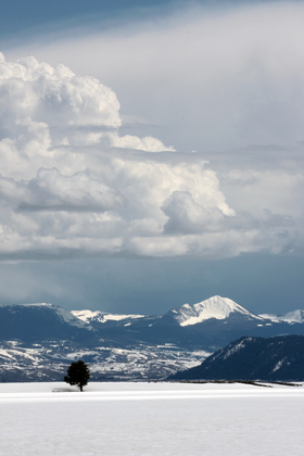 Teton National Forest
