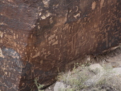 Petrified Forest National Park