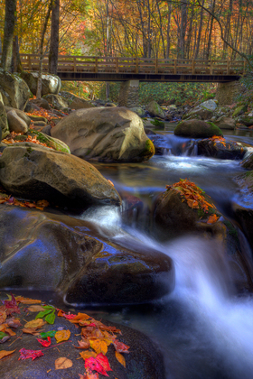 Great Smoky Mountains
