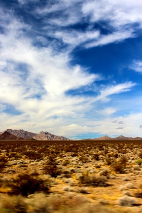 Mojave National Preserve, California