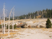 Yellowstone National Park