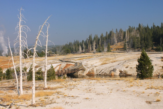 Yellowstone National Park