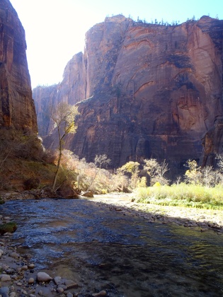Zion National Park