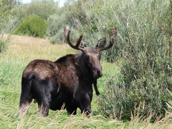 Arapaho National Wildlife Refuge