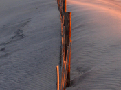 Assateague Island National Seashore