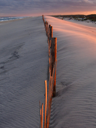 Assateague Island National Seashore