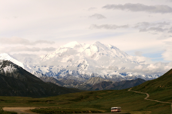 Denali National Park