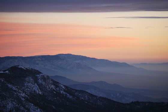 Cibola Nat'l Forest