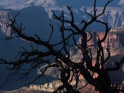 Grand Canyon National Park