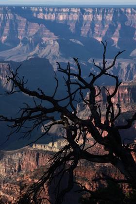 Grand Canyon National Park
