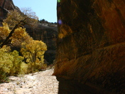 Natural Bridges National Monument