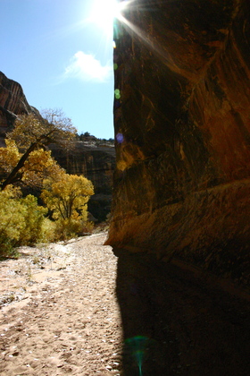 Natural Bridges National Monument