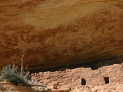 Natural Bridges National Monument