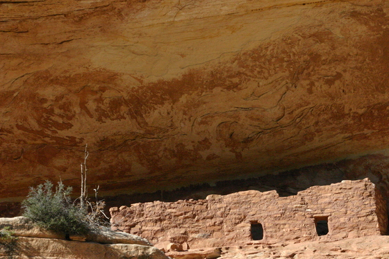 Natural Bridges National Monument
