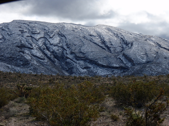 MOUNT CHARLESTON WILDERNESS SPRING MOUNTAINS NATIONAL RECREATION