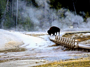 Yellowstone National Park