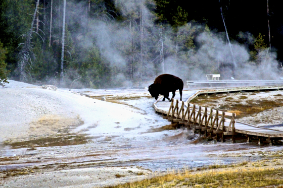 Yellowstone National Park