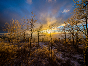 Sandia Crest