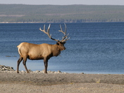 Yellowstone National Park
