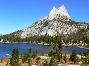 Yosemite National Park