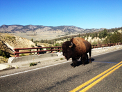 Yellowstone National Park