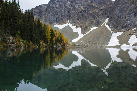 Okanagan National Forest
