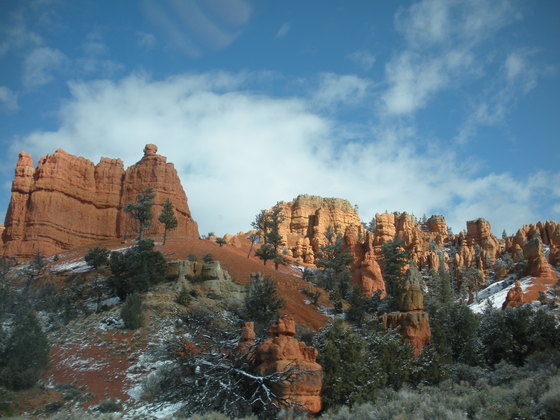 Dixie National Forest