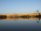 Big Bend National Park
