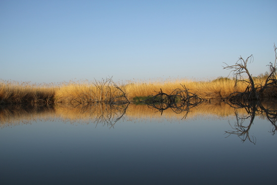 Big Bend National Park