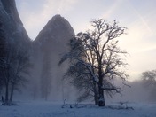 Yosemite National Park