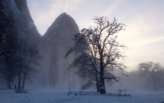 Yosemite National Park