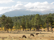 Rocky Mountain National Park