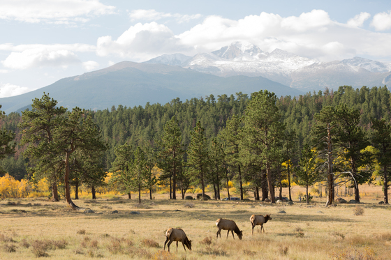 Rocky Mountain National Park